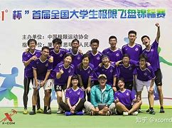 包含极限飞盘国际赛，团队合作开创新纪元的词条