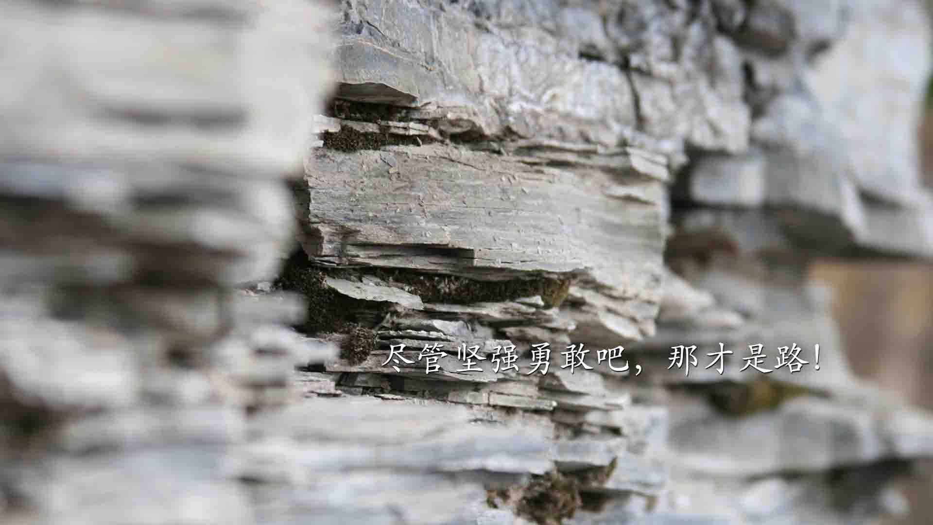 九游官网pc-赛段策略揭秘：如何在短暂的赛段中占尽先机，比赛中段