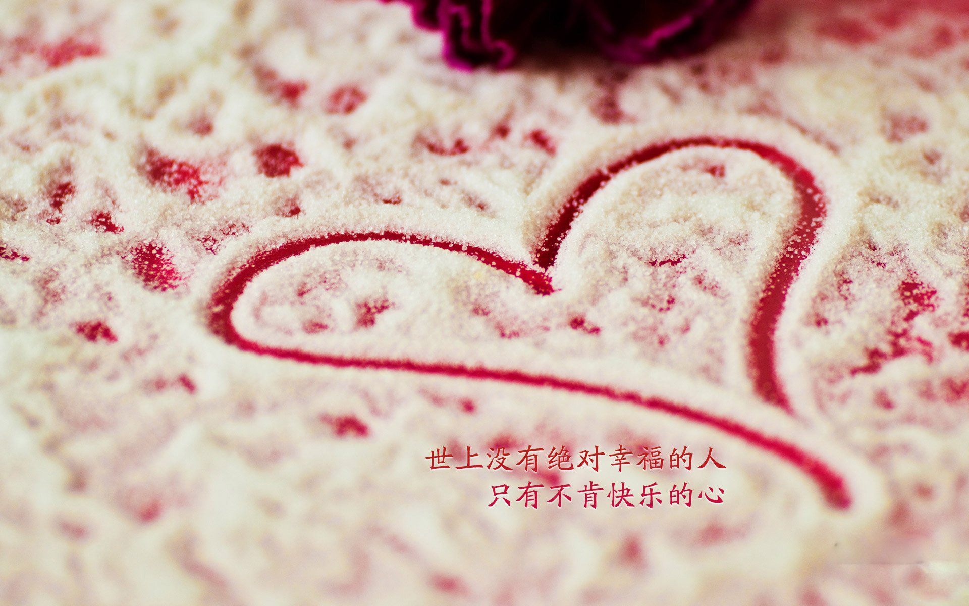 避难所体育节：灾难中的坚持与希望