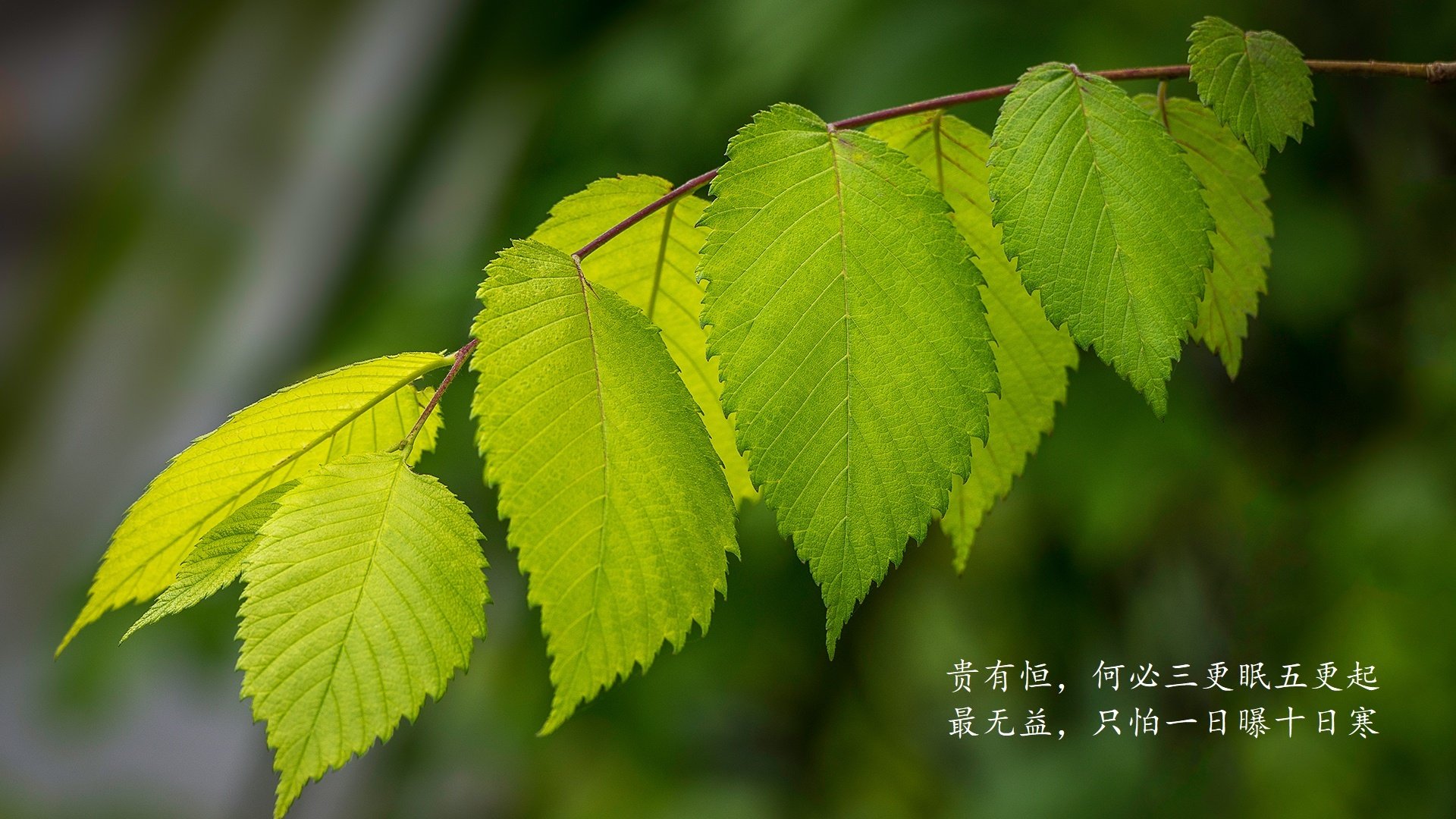 国足热身赛检验战术部署，查缺补漏，国足热身赛对手确定