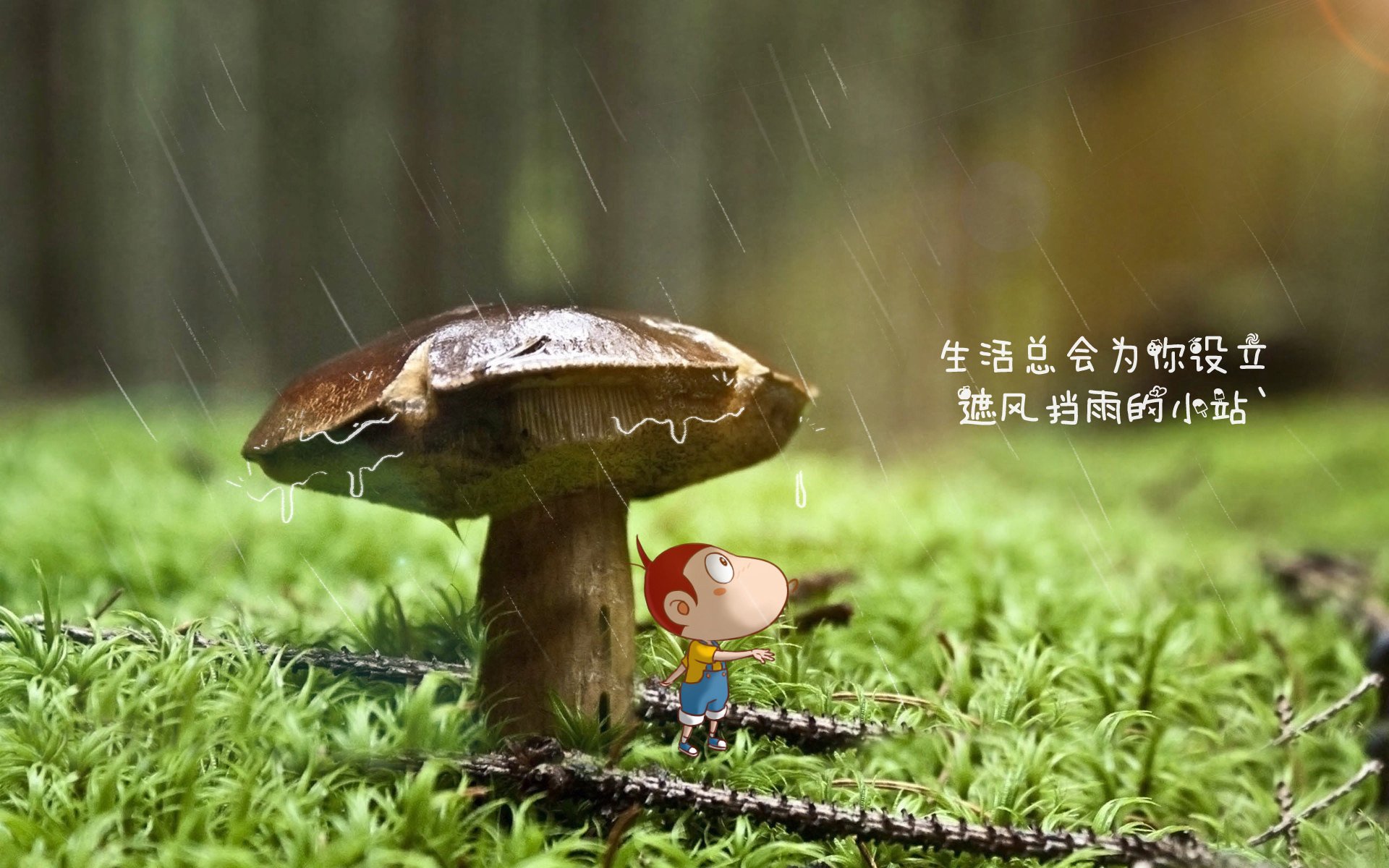 国际足球裁判执法标准升级，公正公开成为主旋律，足球裁判执法规则