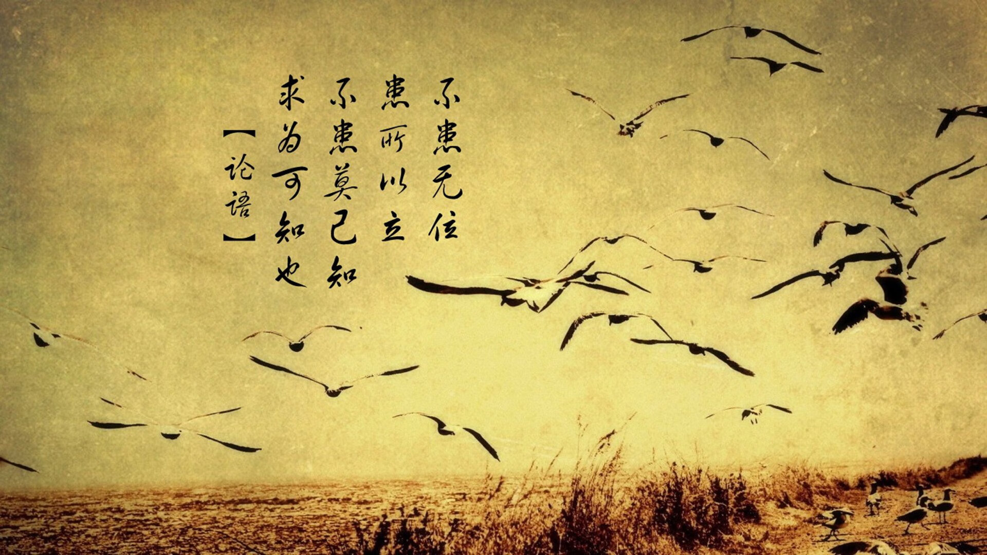 九游网-马刺小将完成首次全场训练信心明显提升，马刺小前锋都有谁