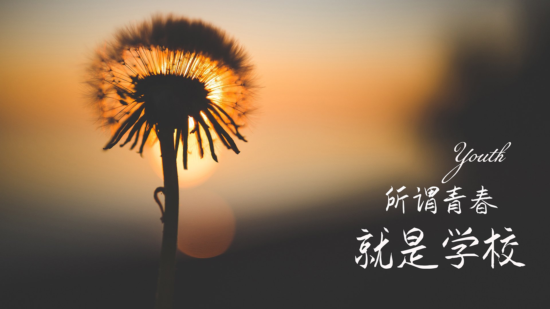 职业联赛增加多视角直播画面提升技术分析深度，多角度看赛场直播